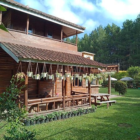 Villa Fresh Line Bongkar Δωμάτιο φωτογραφία